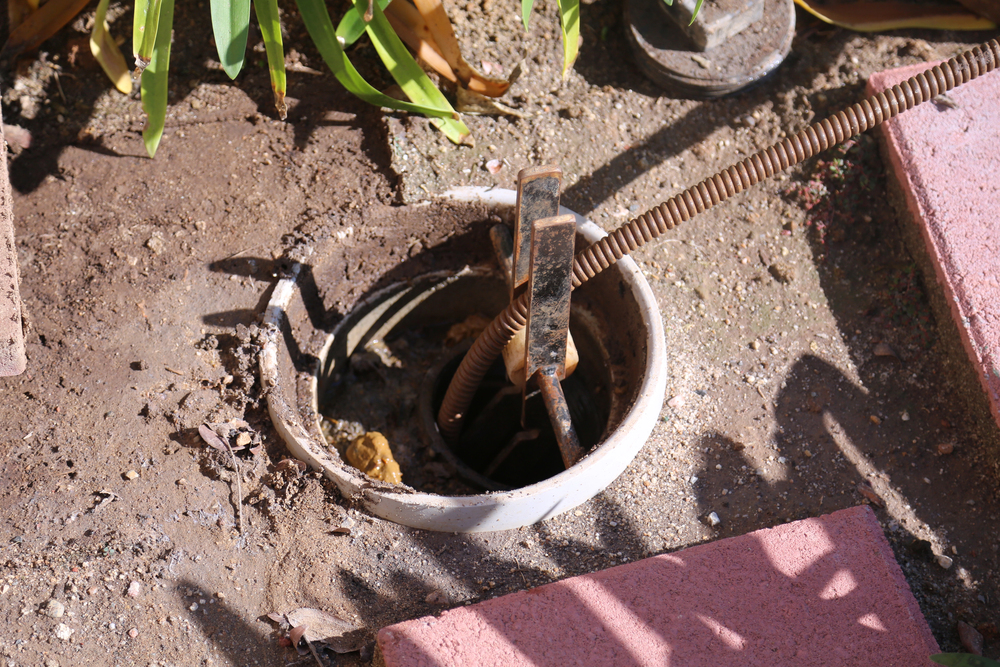 A plumbing snake is inserted into an outdoor drain cleanout surrounded by dirt, plants, and pavers, indicating sewer or toilet repair and installation work.